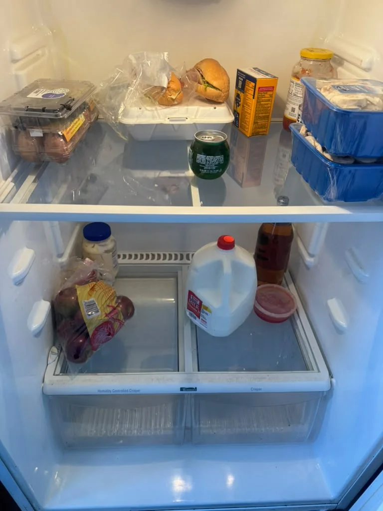 Inside the refrigerator after cleaning, shelves clear and wiped down